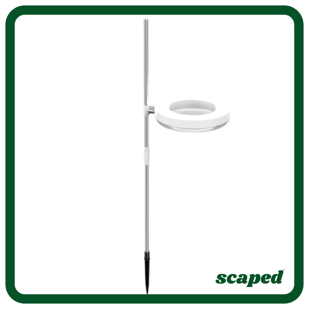 Scaped™️ Sun Crown - Cyber Month